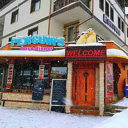 Location Ski-in Ski-out Apartment